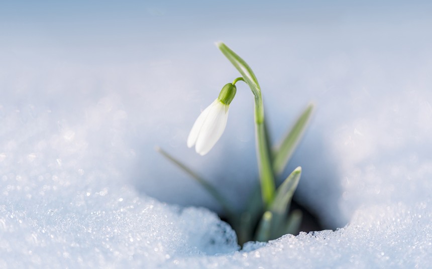 A Call to Resurrection