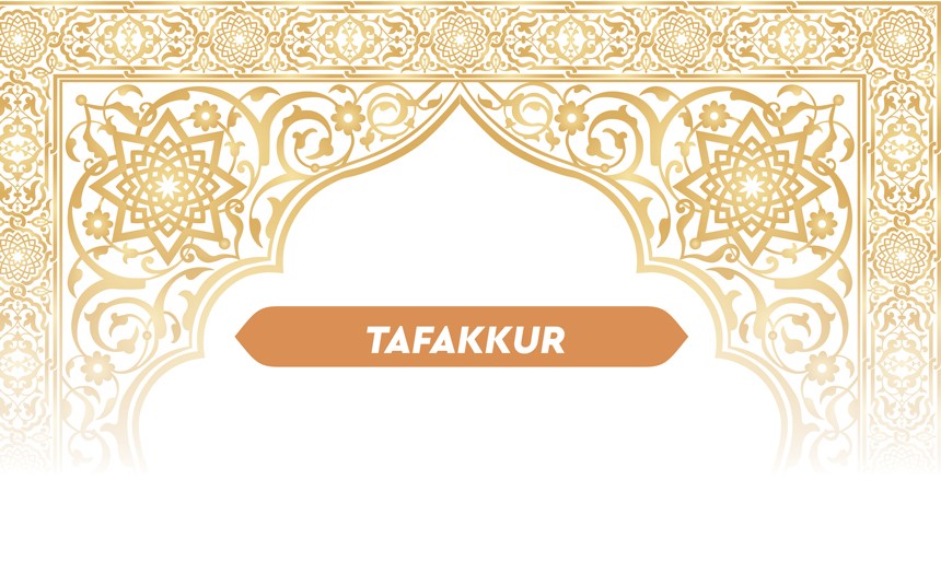 Have You Seen This in the Qur’an?